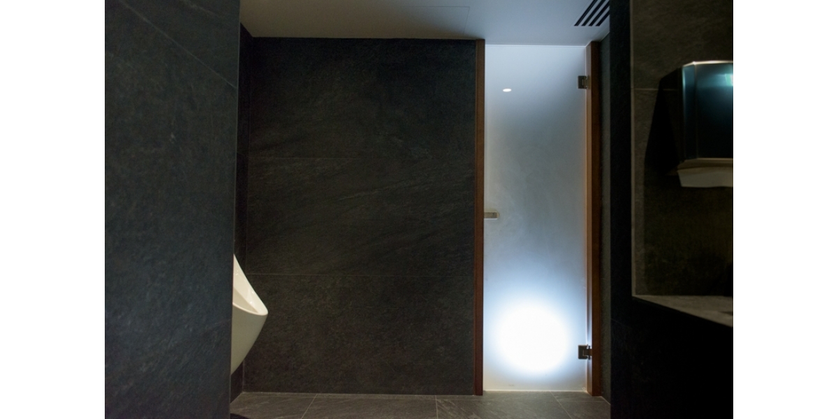 Toilet Door made of Acid Glass