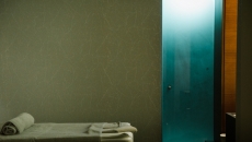 Shower Door located in Double Treatment Room made of Acid Glass